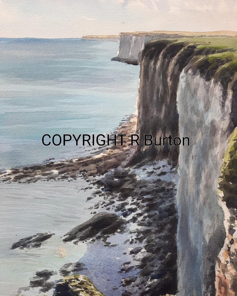 Bempton Cliffs